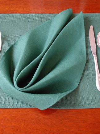 Sea Green Etamine Banded Linen Placemat