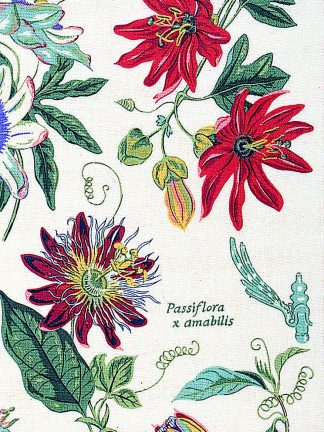 Passionflower Cotton Apron